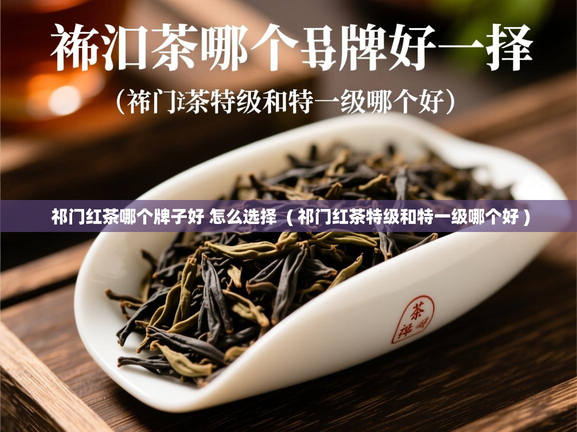  祁门红茶哪个牌子好 怎么选择  ( 祁门红茶特级和特一级哪个好 )