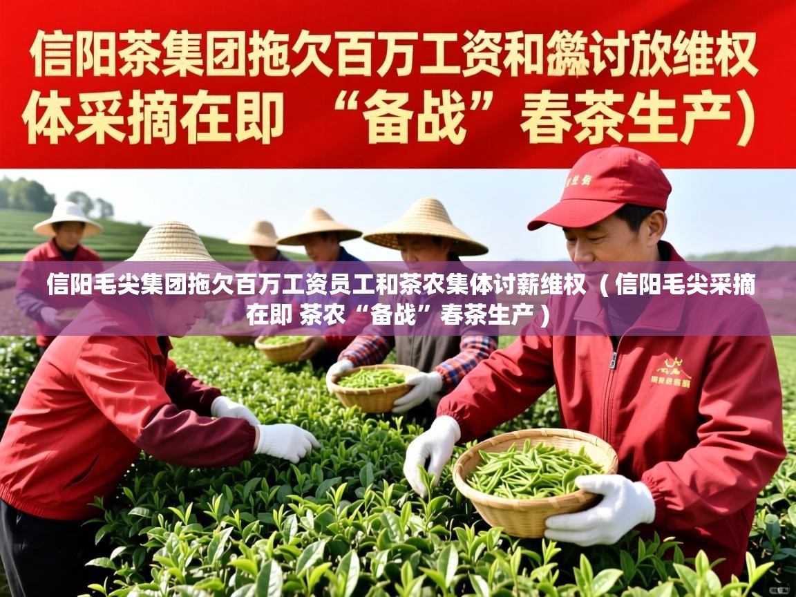 信阳毛尖集团拖欠百万工资员工和茶农集体讨薪维权 ( 信阳毛尖采摘在即 茶农“备战”春茶生产 ) 信阳毛尖集团拖欠百万工资员工和茶农集体讨薪维权 ( 信阳毛尖采摘在即 茶农“备战”春茶生产 )