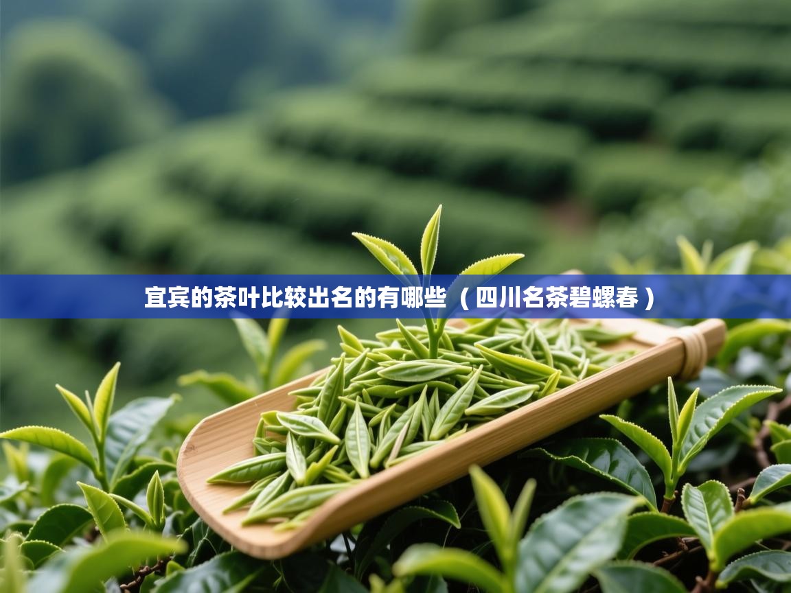  宜宾的茶叶比较出名的有哪些  ( 四川名茶碧螺春 )