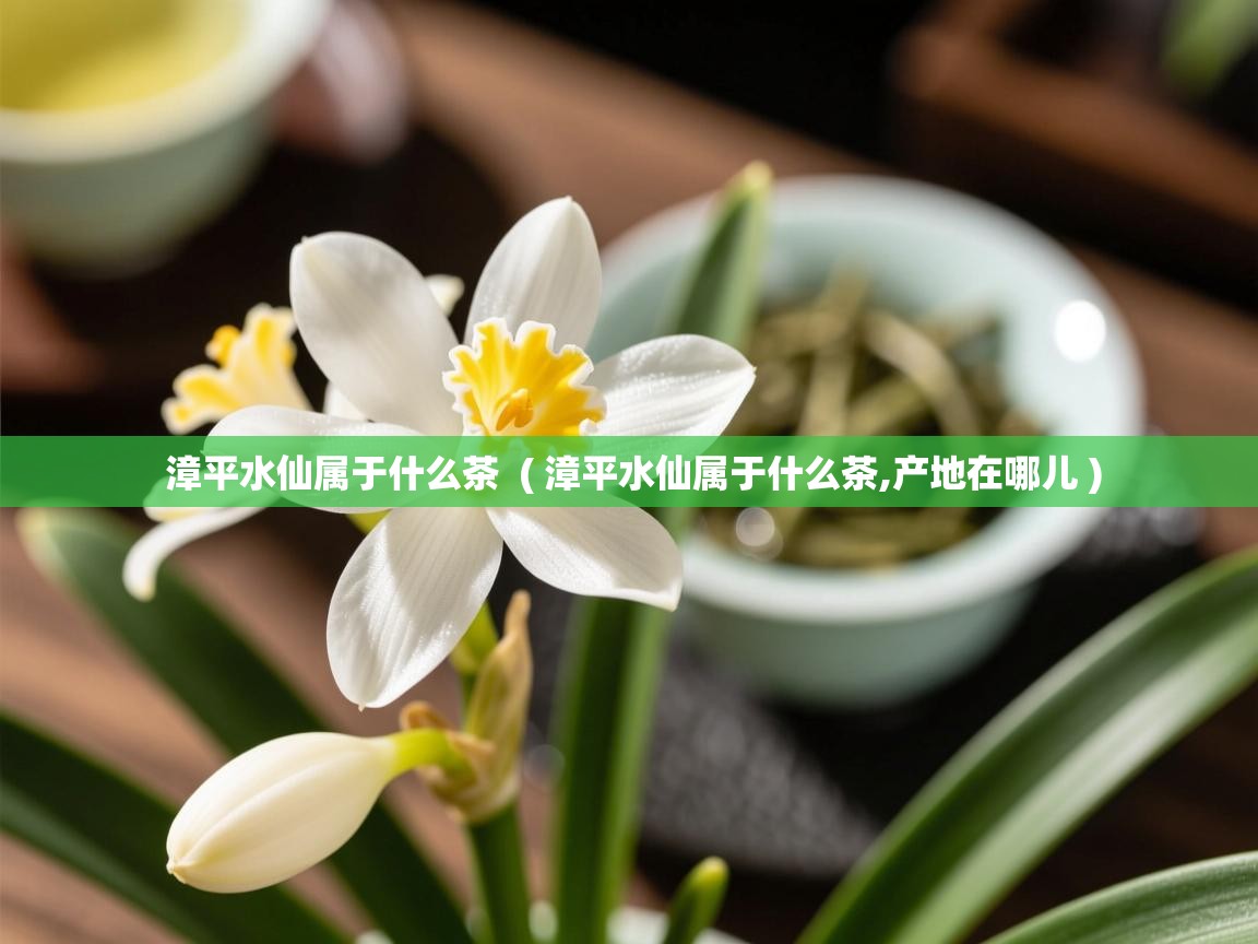  漳平水仙属于什么茶  ( 漳平水仙属于什么茶,产地在哪儿 )