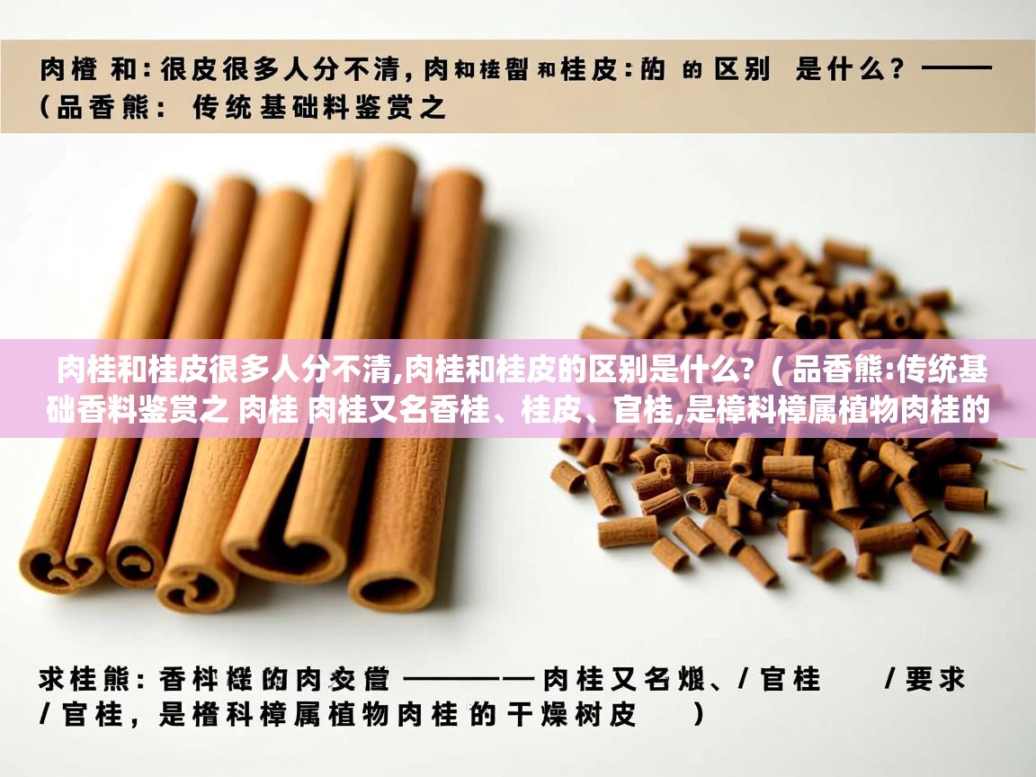  肉桂和桂皮很多人分不清,肉桂和桂皮的区别是什么?  ( 品香熊:传统基础香料鉴赏之 肉桂 肉桂又名香桂、桂皮、官桂,是樟科樟属植物肉桂的干燥树皮 )