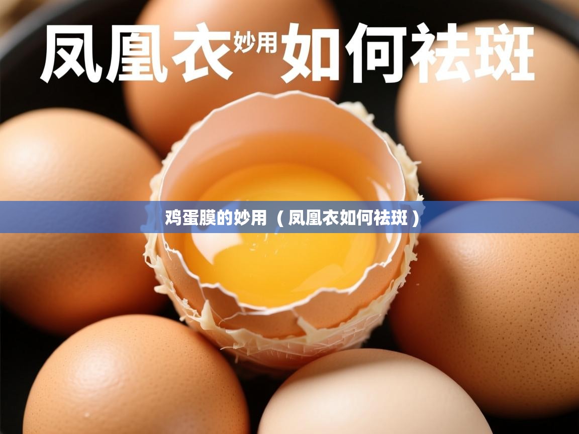 鸡蛋膜的妙用 ( 凤凰衣如何祛斑 ) 鸡蛋膜的妙用 ( 凤凰衣如何祛斑 )