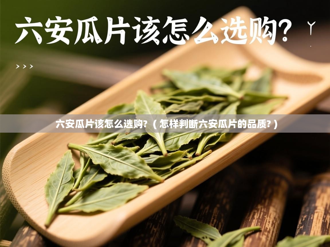  六安瓜片该怎么选购?  ( 怎样判断六安瓜片的品质? )