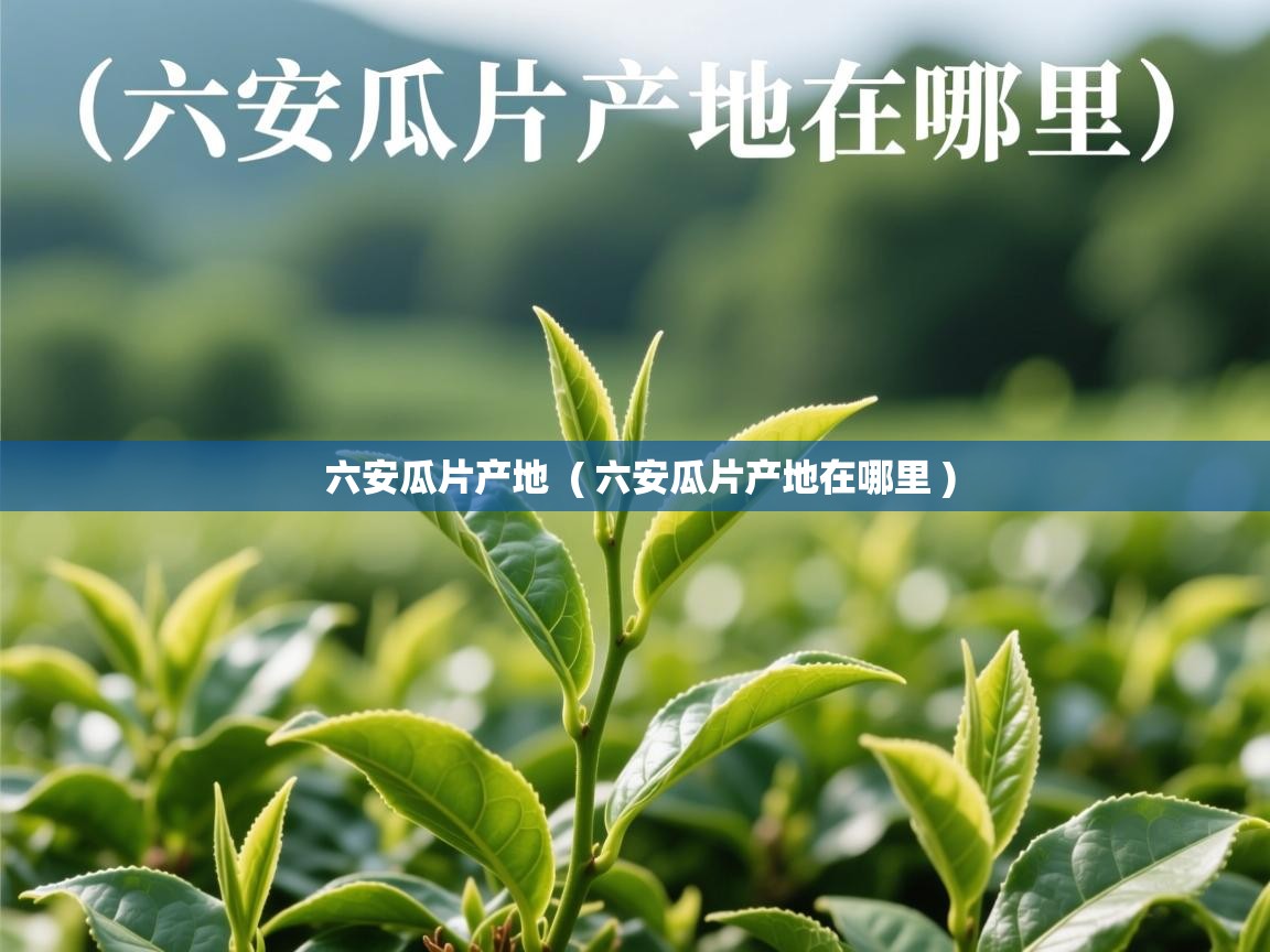 六安瓜片产地 ( 六安瓜片产地在哪里 ) 六安瓜片产地 ( 六安瓜片产地在哪里 )
