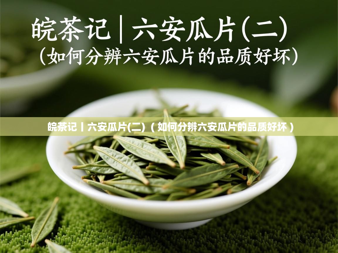 皖茶记丨六安瓜片(二) ( 如何分辨六安瓜片的品质好坏 ) 皖茶记丨六安瓜片(二) ( 如何分辨六安瓜片的品质好坏 )
