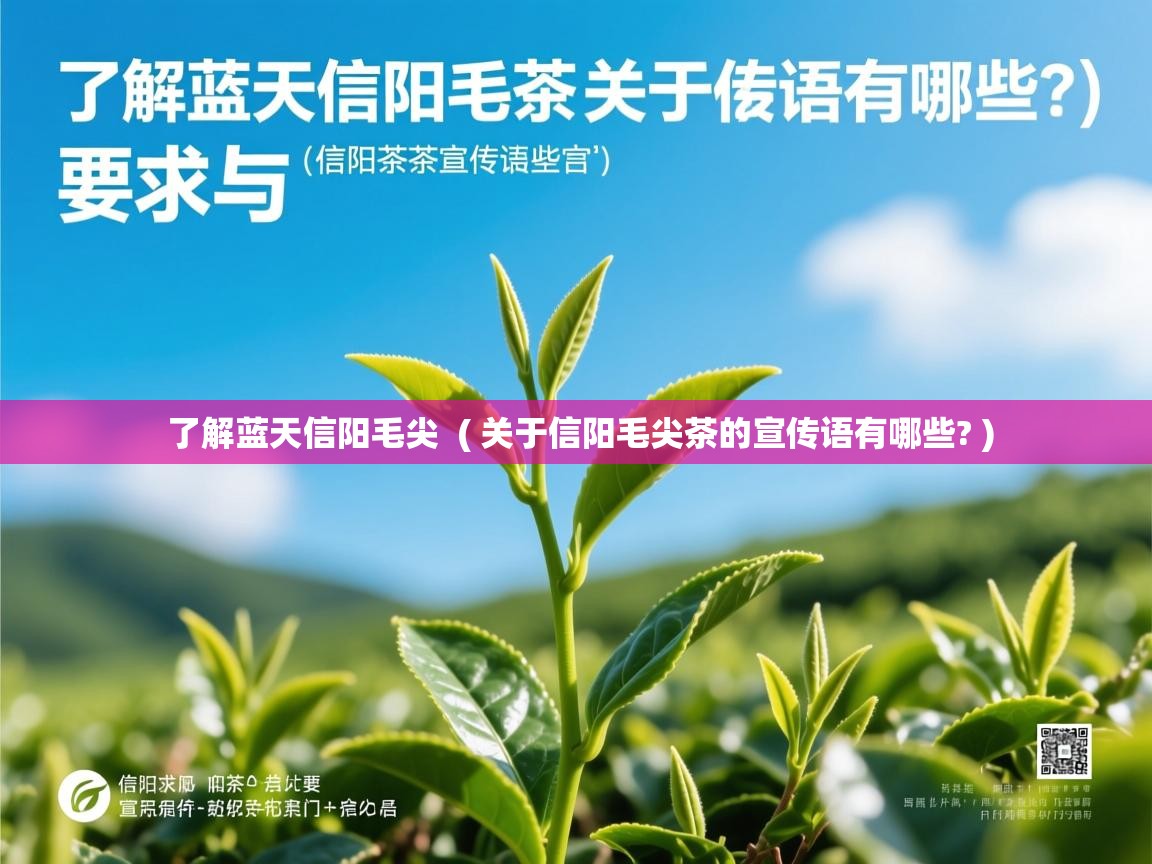 了解蓝天信阳毛尖 ( 关于信阳毛尖茶的宣传语有哪些? ) 了解蓝天信阳毛尖 ( 关于信阳毛尖茶的宣传语有哪些? )