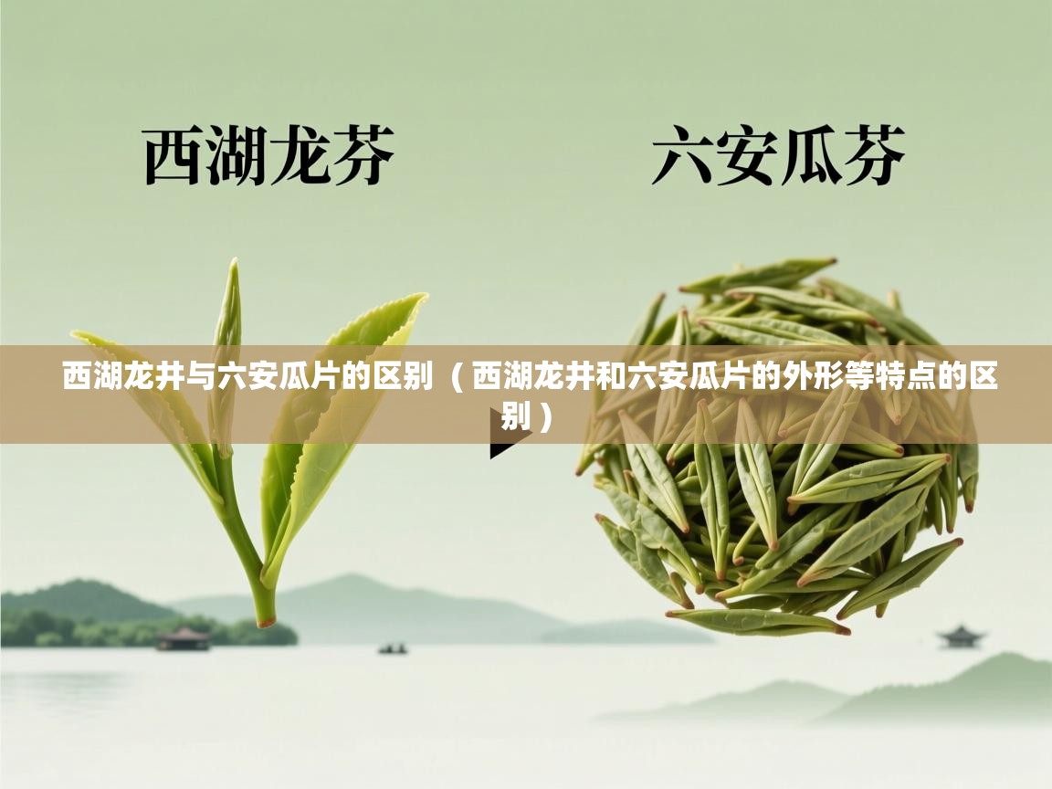 西湖龙井与六安瓜片的区别 ( 西湖龙井和六安瓜片的外形等特点的区别 ) 西湖龙井与六安瓜片的区别 ( 西湖龙井和六安瓜片的外形等特点的区别 )