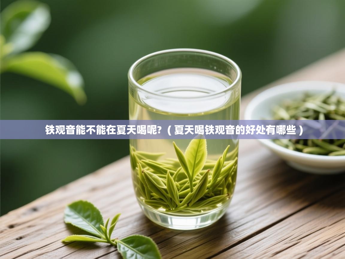 铁观音能不能在夏天喝呢?  ( 夏天喝铁观音的好处有哪些 )