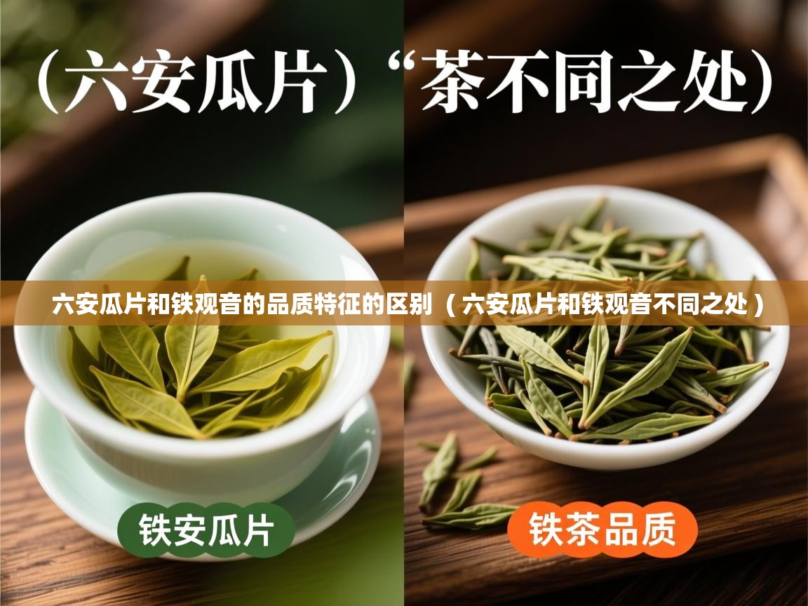 六安瓜片和铁观音的品质特征的区别 ( 六安瓜片和铁观音不同之处 ) 六安瓜片和铁观音的品质特征的区别 ( 六安瓜片和铁观音不同之处 )