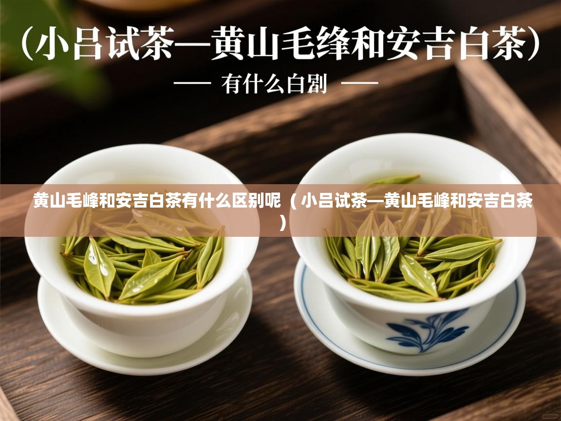  黄山毛峰和安吉白茶有什么区别呢  ( 小吕试茶—黄山毛峰和安吉白茶 )