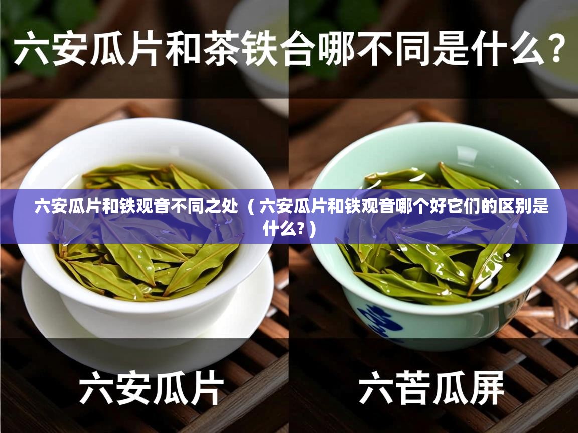  六安瓜片和铁观音不同之处  ( 六安瓜片和铁观音哪个好它们的区别是什么? )