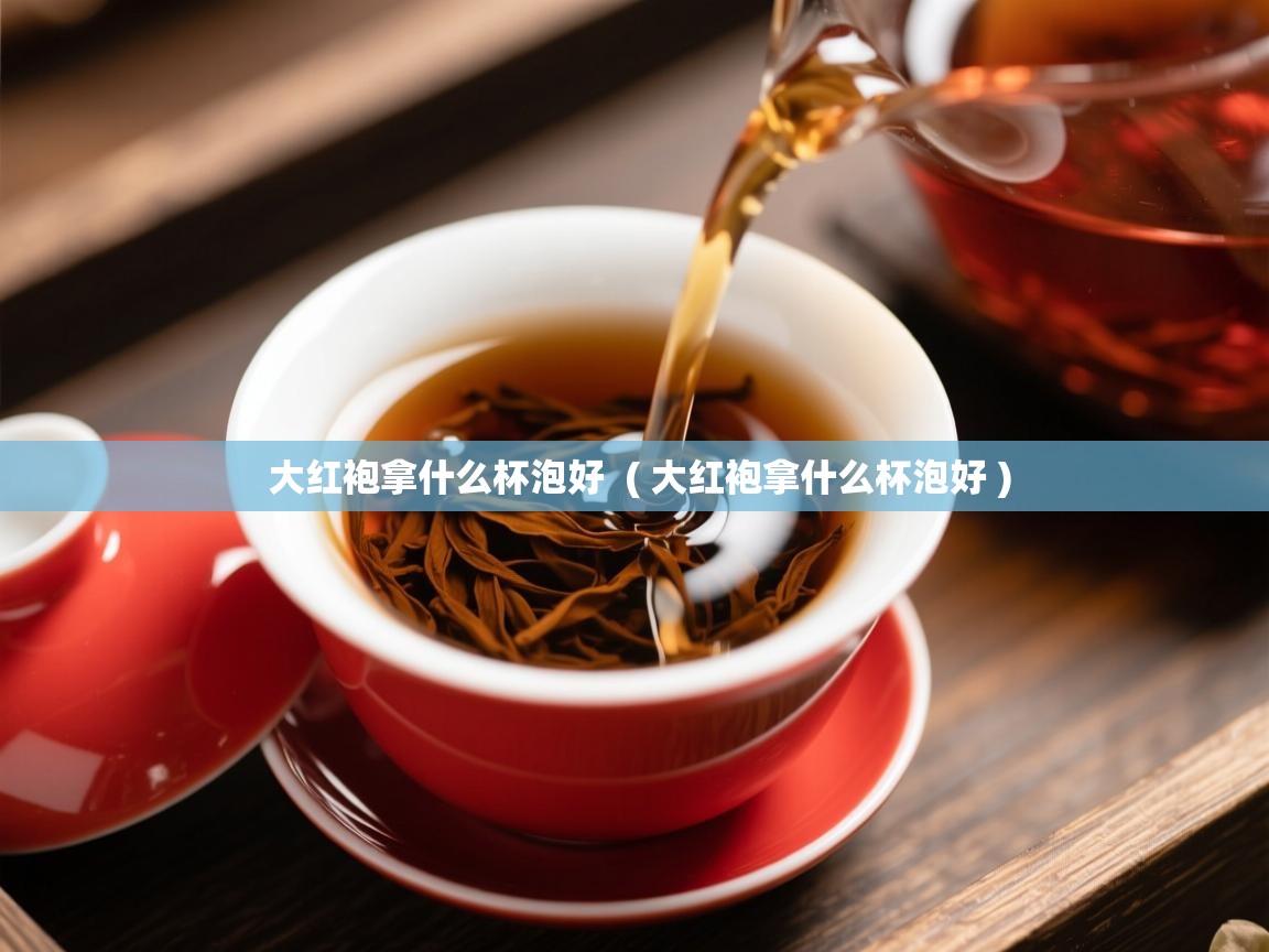  大红袍拿什么杯泡好  ( 大红袍拿什么杯泡好 )