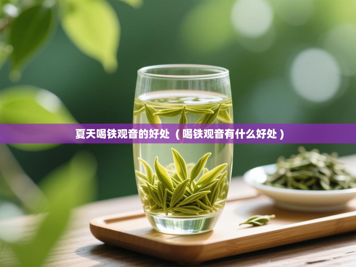  夏天喝铁观音的好处  ( 喝铁观音有什么好处 )