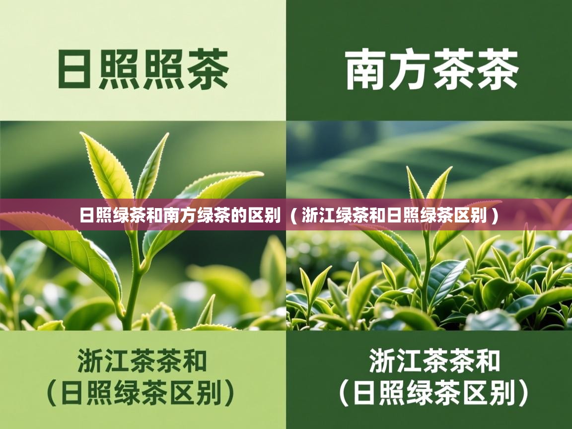  日照绿茶和南方绿茶的区别  ( 浙江绿茶和日照绿茶区别 )