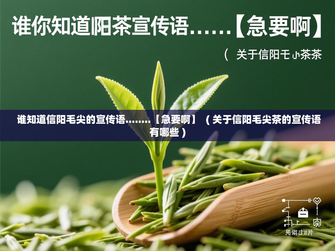  谁知道信阳毛尖的宣传语........【急要啊】  ( 关于信阳毛尖茶的宣传语有哪些 )