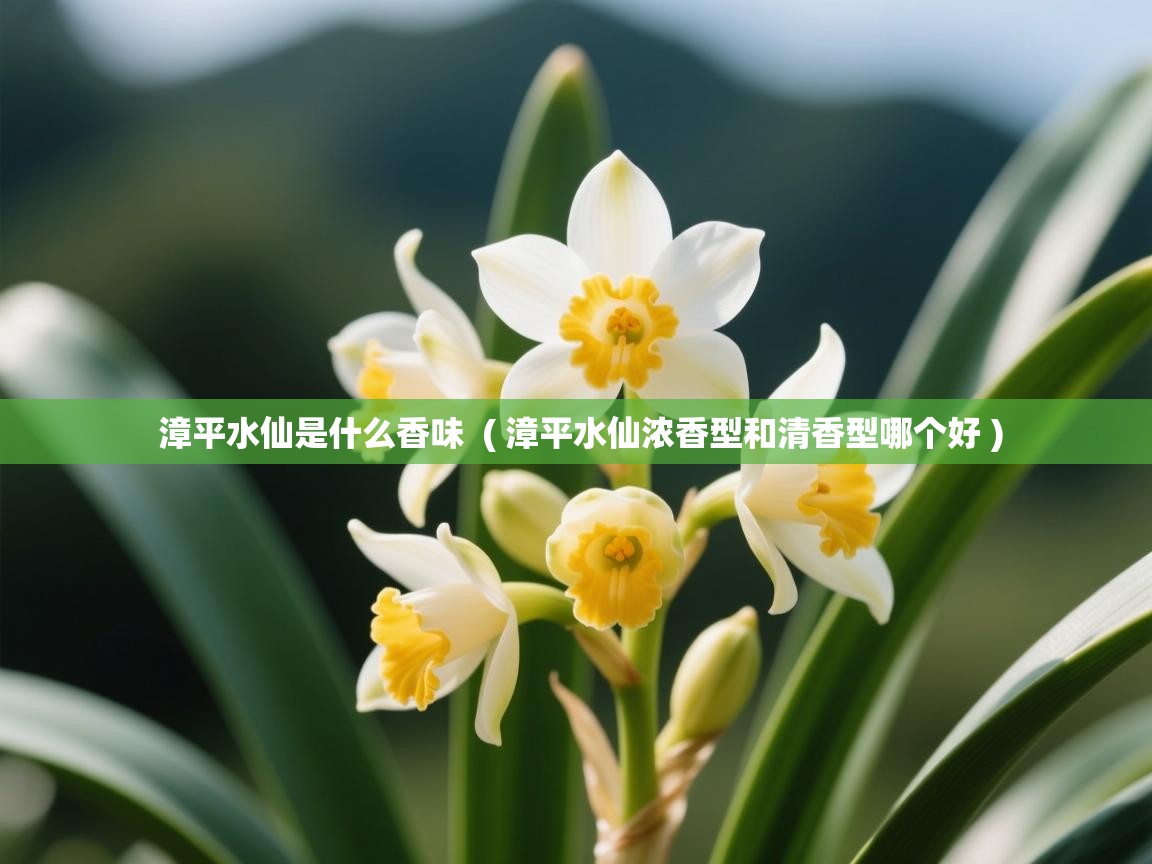  漳平水仙是什么香味  ( 漳平水仙浓香型和清香型哪个好 )