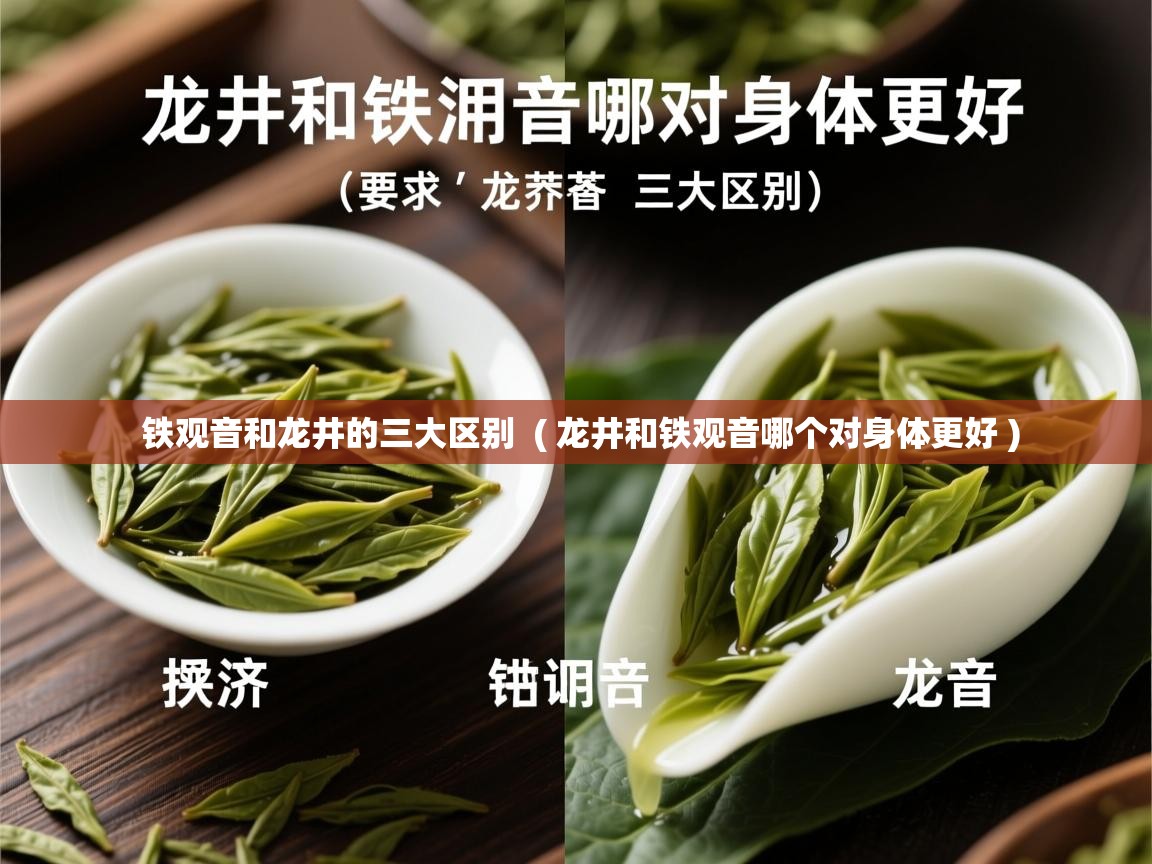  铁观音和龙井的三大区别  ( 龙井和铁观音哪个对身体更好 )