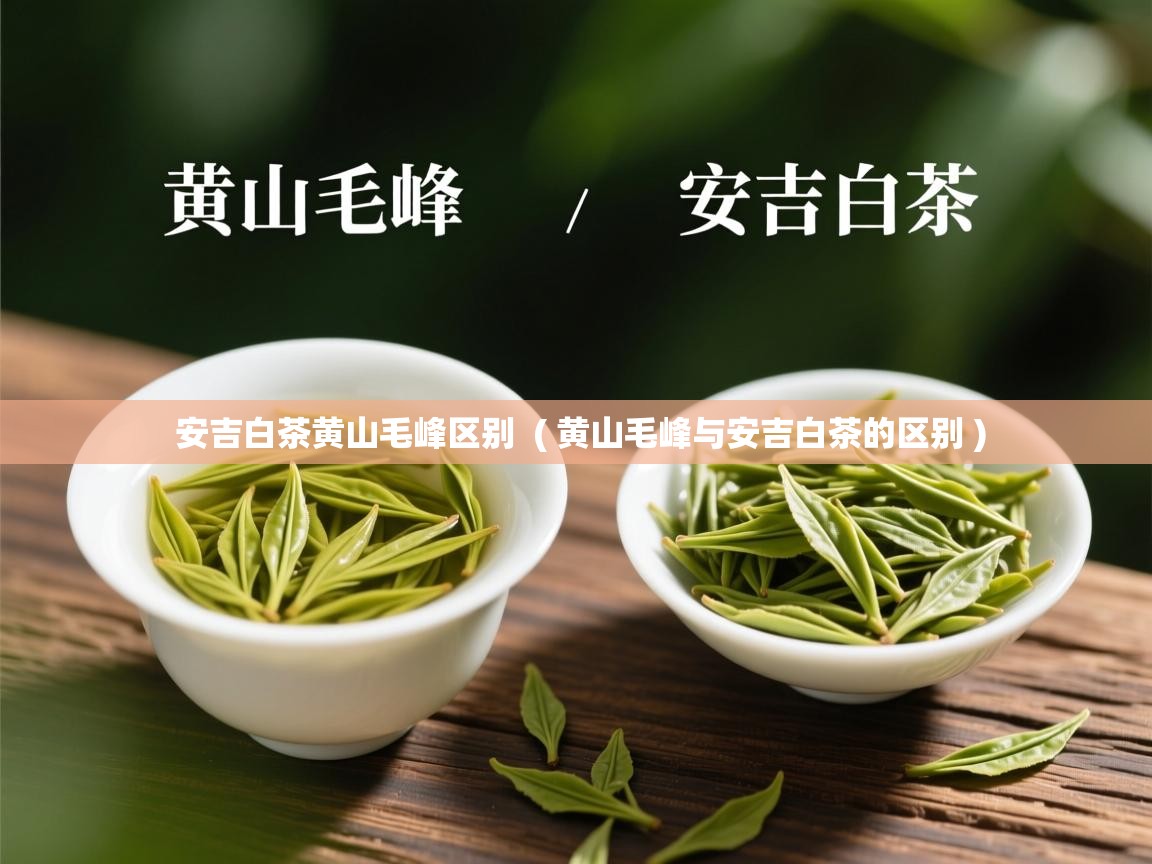  安吉白茶黄山毛峰区别  ( 黄山毛峰与安吉白茶的区别 )