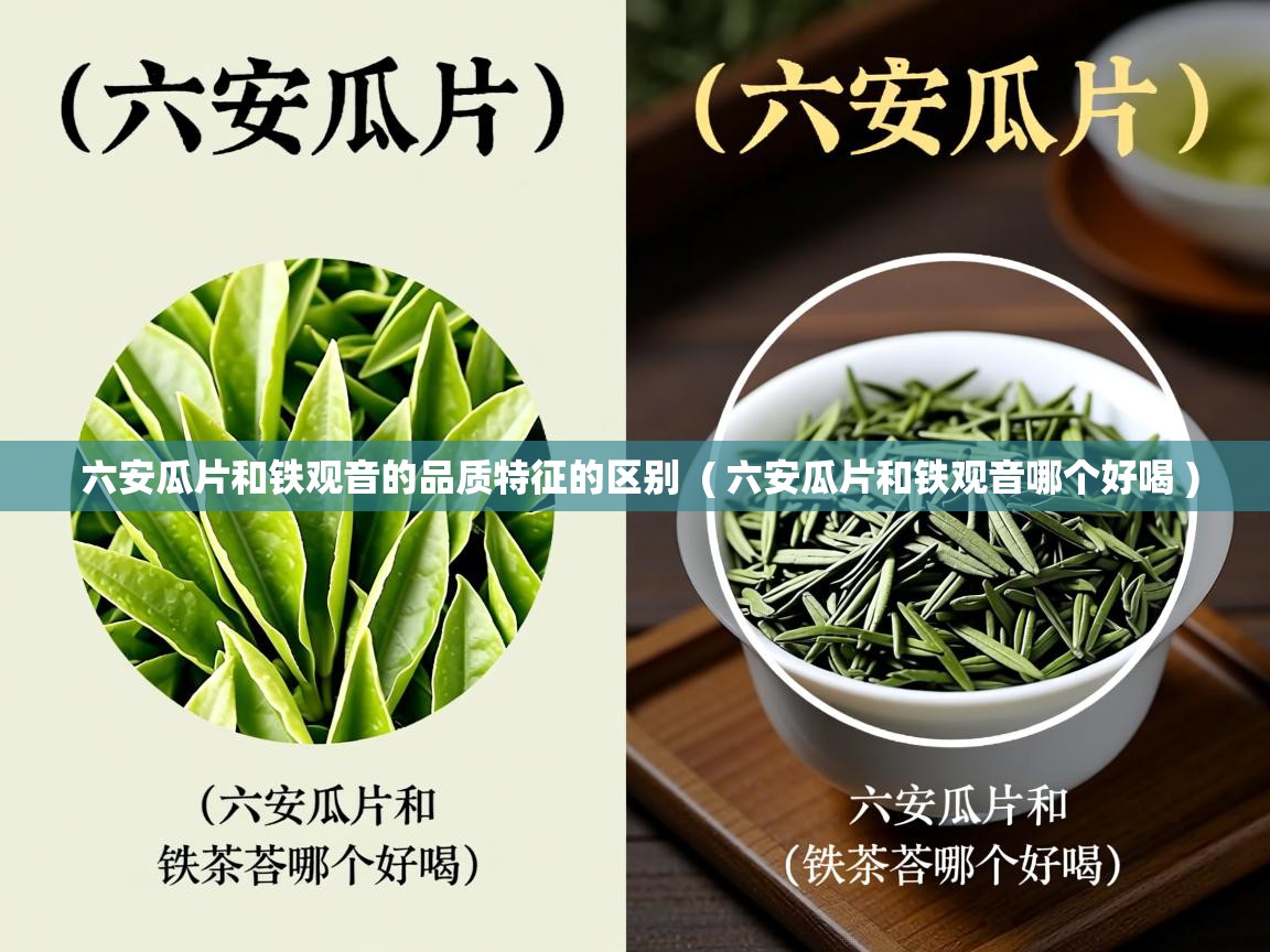 六安瓜片和铁观音的品质特征的区别 ( 六安瓜片和铁观音哪个好喝 ) 六安瓜片和铁观音的品质特征的区别 ( 六安瓜片和铁观音哪个好喝 )