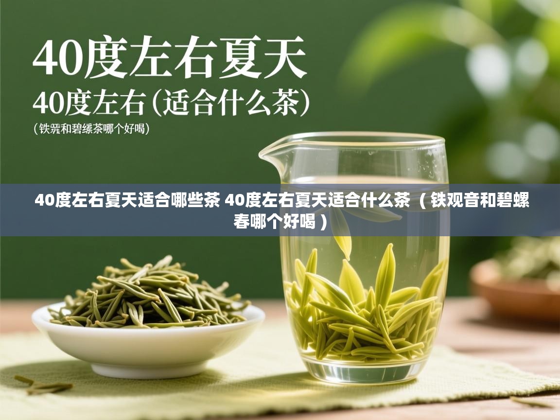  40度左右夏天适合哪些茶 40度左右夏天适合什么茶  ( 铁观音和碧螺春哪个好喝 )