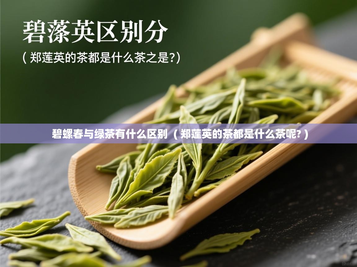 碧螺春与绿茶有什么区别 ( 郑莲英的茶都是什么茶呢? ) 碧螺春与绿茶有什么区别 ( 郑莲英的茶都是什么茶呢? )