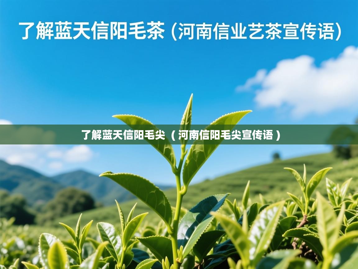  了解蓝天信阳毛尖  ( 河南信阳毛尖宣传语 )