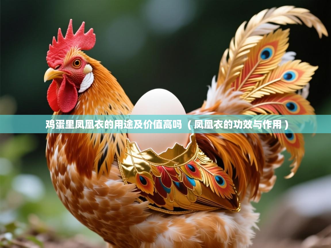  鸡蛋里凤凰衣的用途及价值高吗  ( 凤凰衣的功效与作用 )
