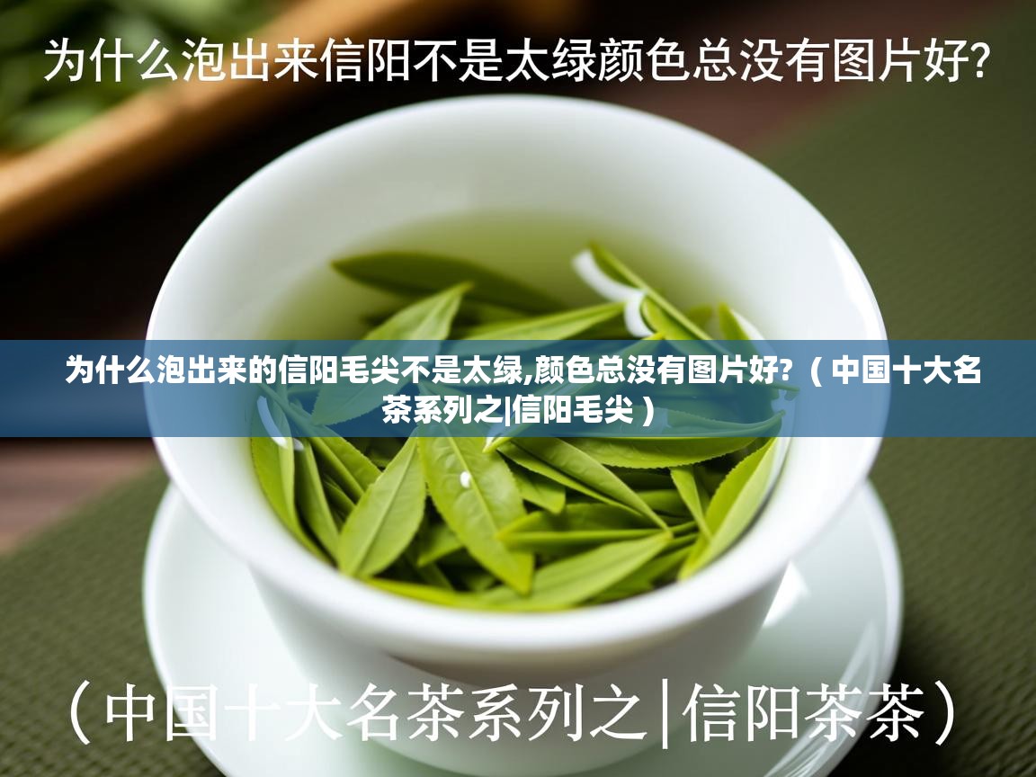  为什么泡出来的信阳毛尖不是太绿,颜色总没有图片好?  ( 中国十大名茶系列之|信阳毛尖 )