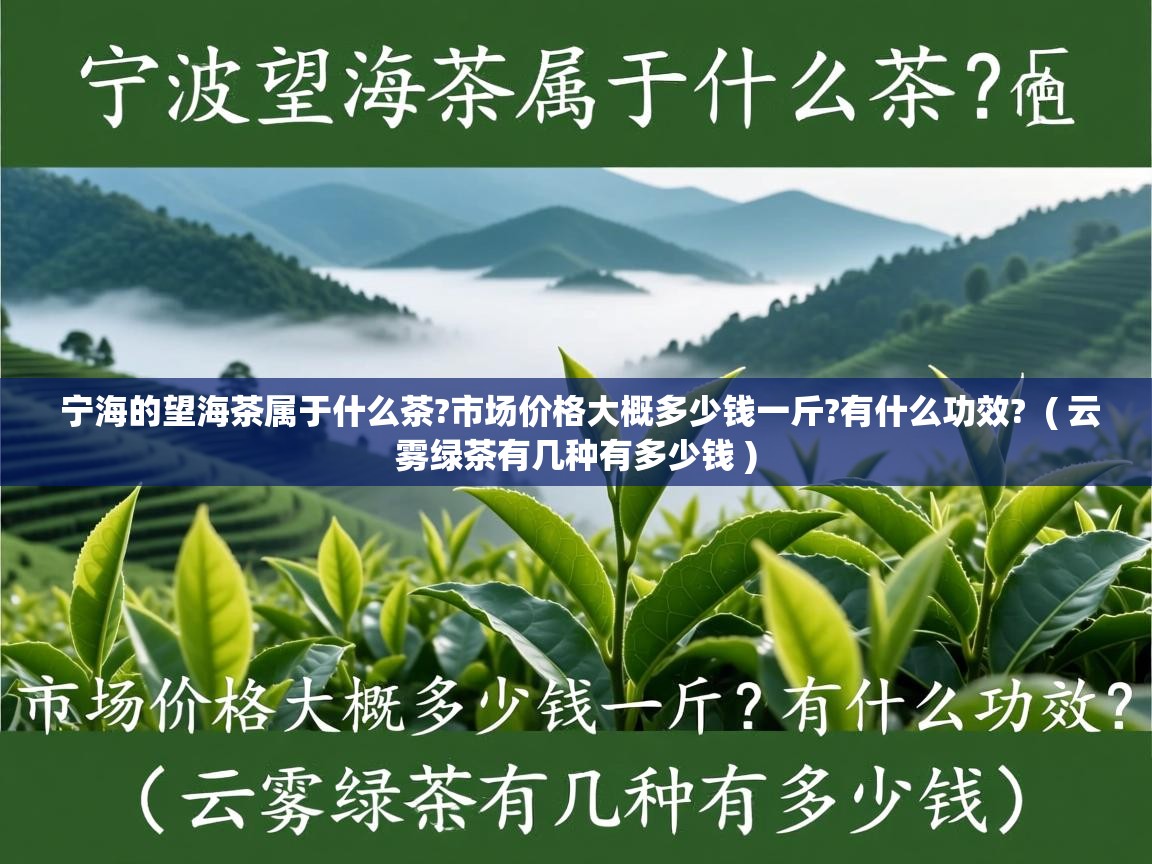  宁海的望海茶属于什么茶?市场价格大概多少钱一斤?有什么功效?  ( 云雾绿茶有几种有多少钱 )