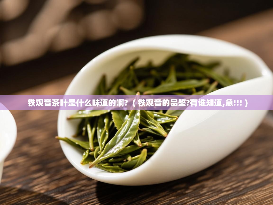  铁观音茶叶是什么味道的啊?  ( 铁观音的品鉴?有谁知道,急!!! )