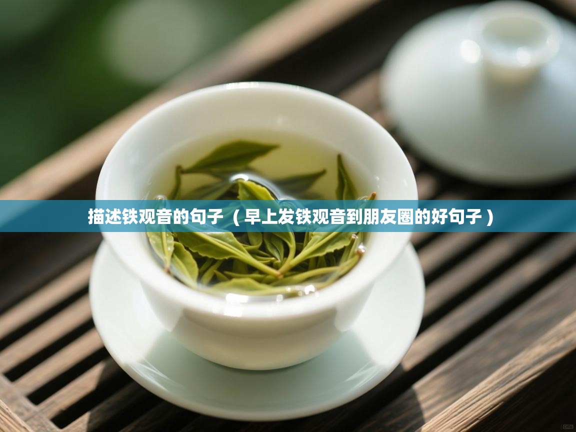  描述铁观音的句子  ( 早上发铁观音到朋友圈的好句子 )