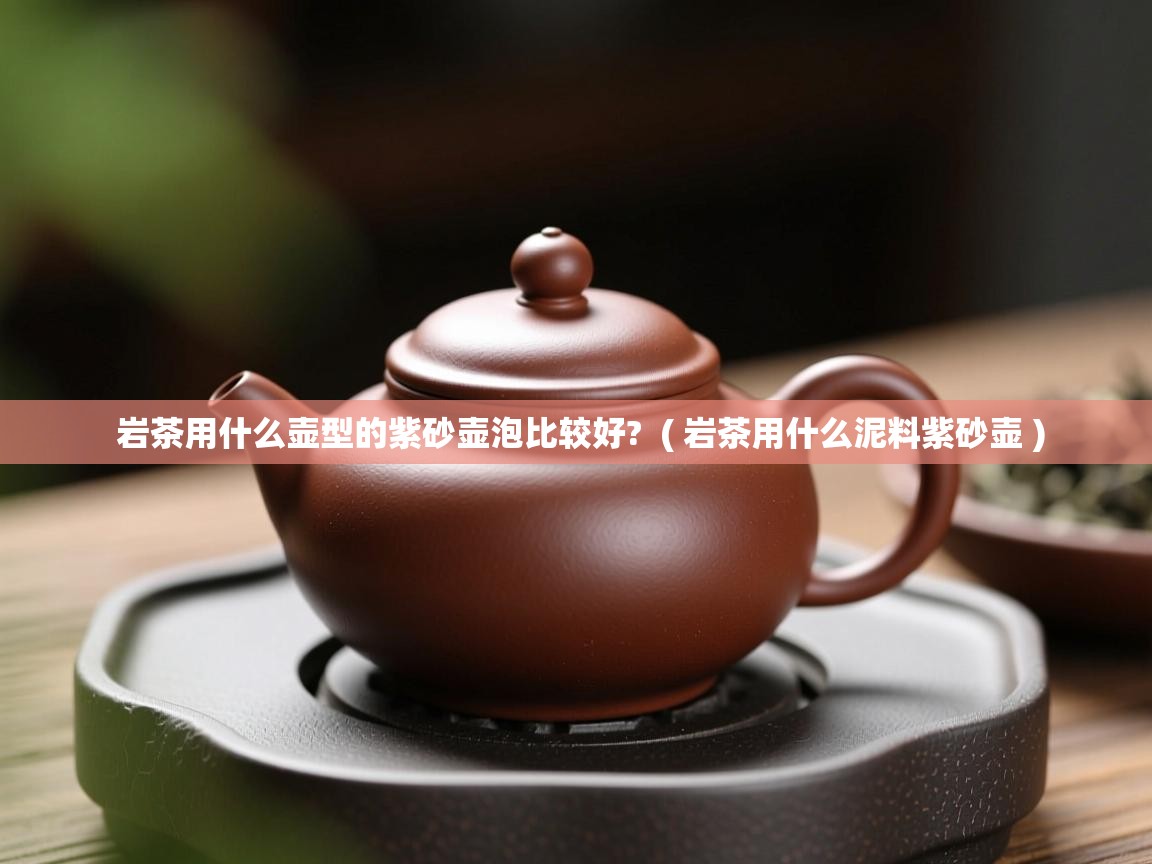 岩茶用什么壶型的紫砂壶泡比较好?  ( 岩茶用什么泥料紫砂壶 )