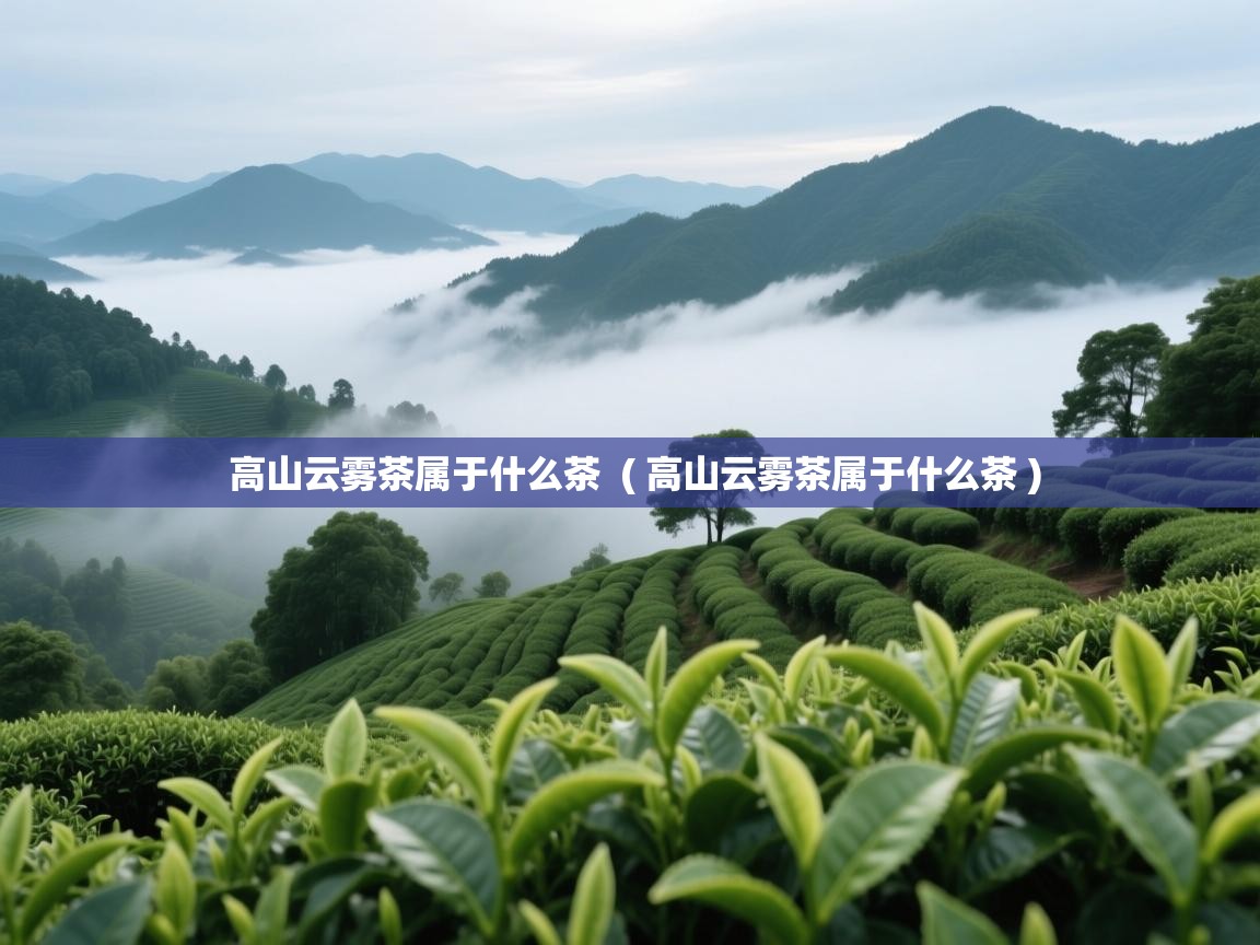  高山云雾茶属于什么茶  ( 高山云雾茶属于什么茶 )