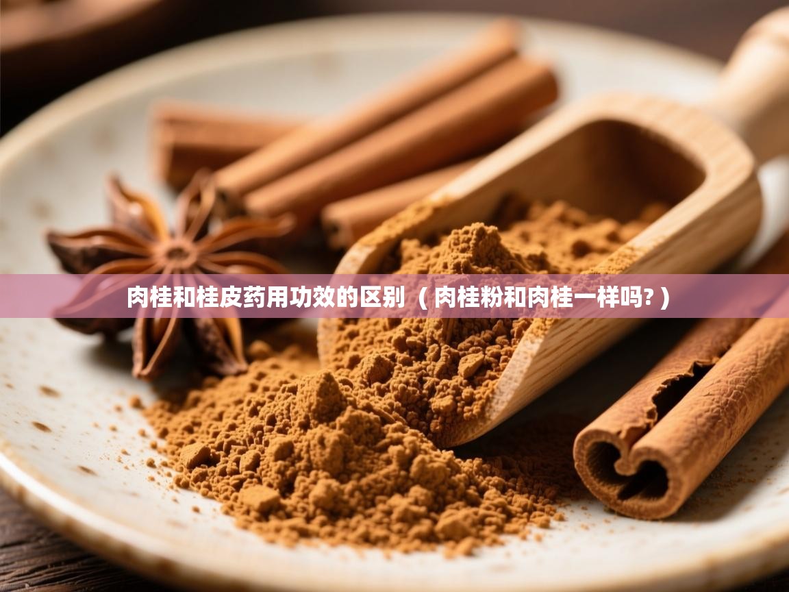 肉桂和桂皮药用功效的区别 ( 肉桂粉和肉桂一样吗? ) 肉桂和桂皮药用功效的区别 ( 肉桂粉和肉桂一样吗? )