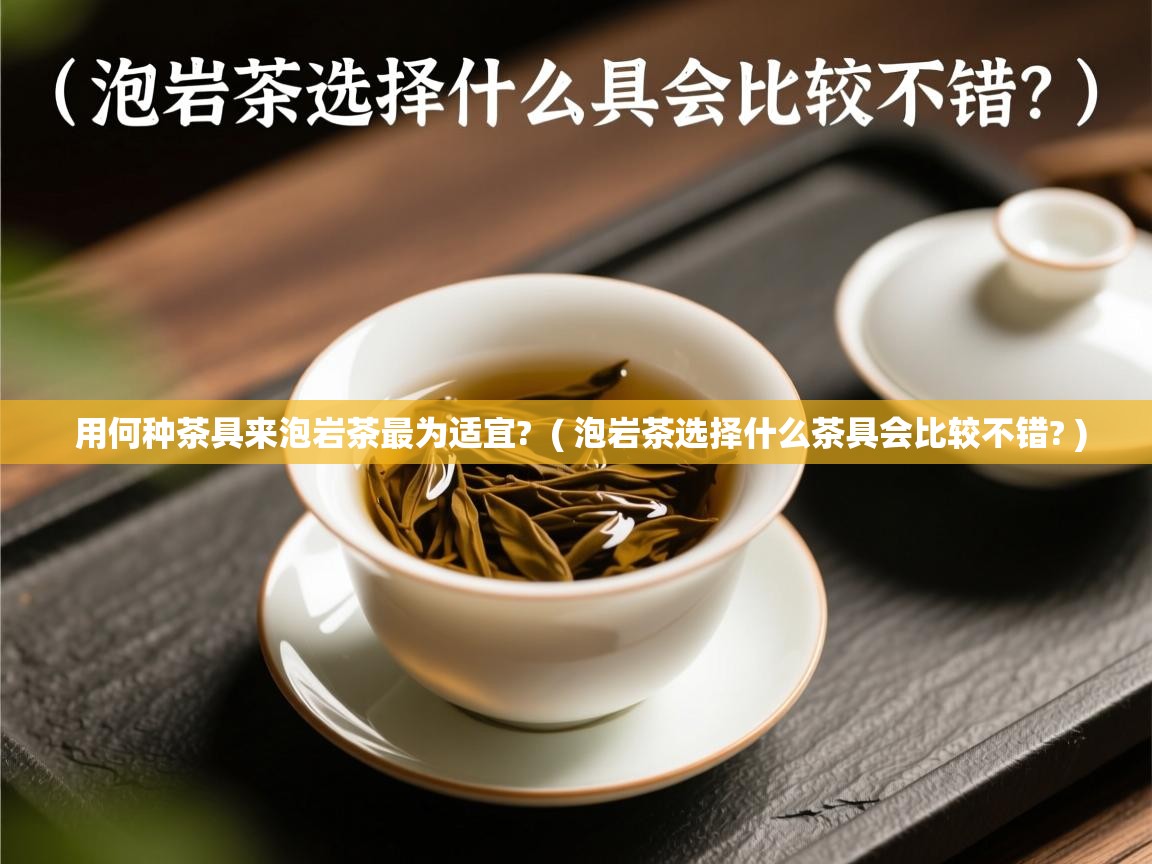 用何种茶具来泡岩茶最为适宜? ( 泡岩茶选择什么茶具会比较不错? ) 用何种茶具来泡岩茶最为适宜? ( 泡岩茶选择什么茶具会比较不错? )