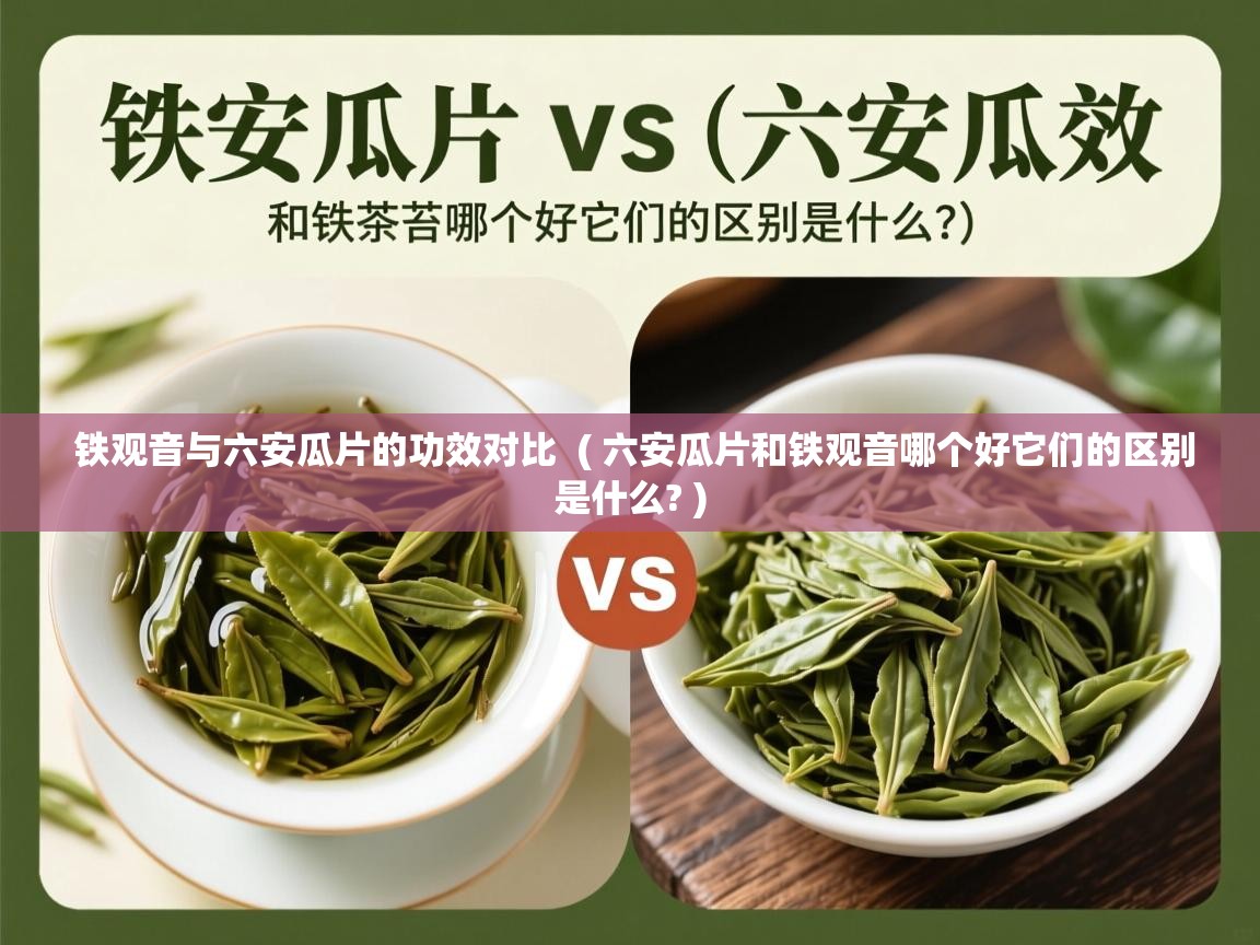 铁观音与六安瓜片的功效对比 ( 六安瓜片和铁观音哪个好它们的区别是什么? ) 铁观音与六安瓜片的功效对比 ( 六安瓜片和铁观音哪个好它们的区别是什么? )