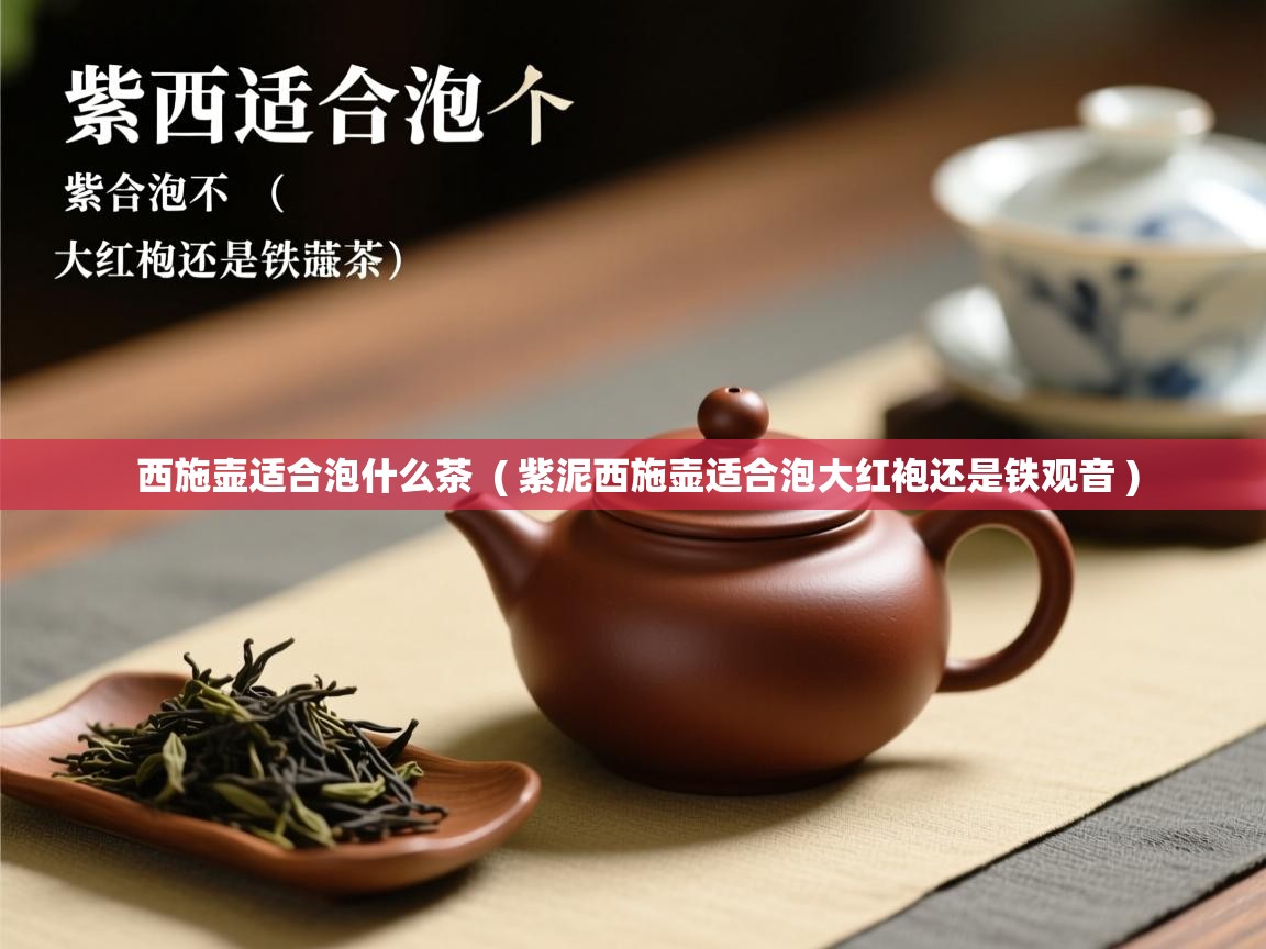 西施壶适合泡什么茶 ( 紫泥西施壶适合泡大红袍还是铁观音 ) 西施壶适合泡什么茶 ( 紫泥西施壶适合泡大红袍还是铁观音 )