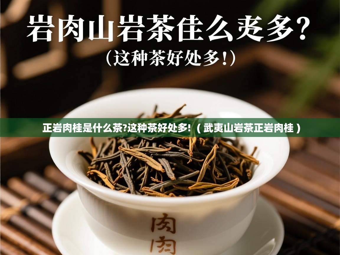 正岩肉桂是什么茶?这种茶好处多! ( 武夷山岩茶正岩肉桂 ) 正岩肉桂是什么茶?这种茶好处多! ( 武夷山岩茶正岩肉桂 )