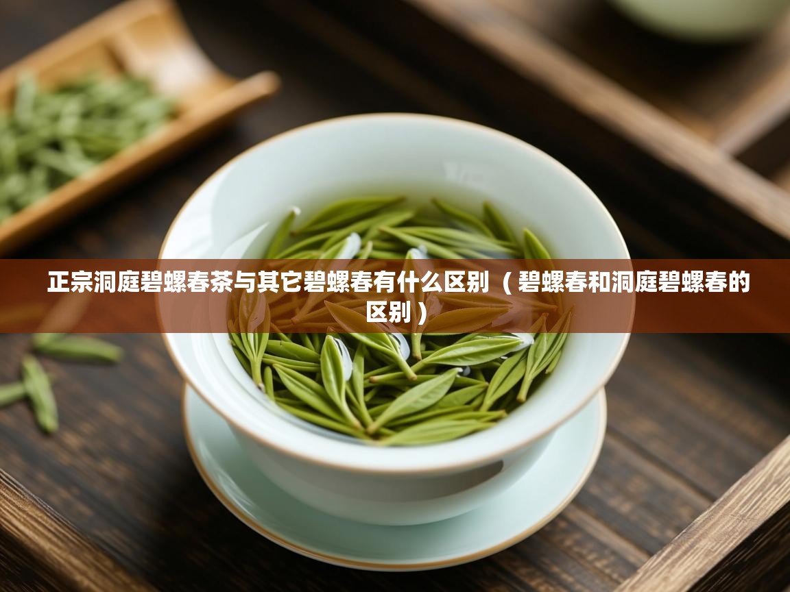 正宗洞庭碧螺春茶与其它碧螺春有什么区别 ( 碧螺春和洞庭碧螺春的区别 ) 正宗洞庭碧螺春茶与其它碧螺春有什么区别 ( 碧螺春和洞庭碧螺春的区别 )