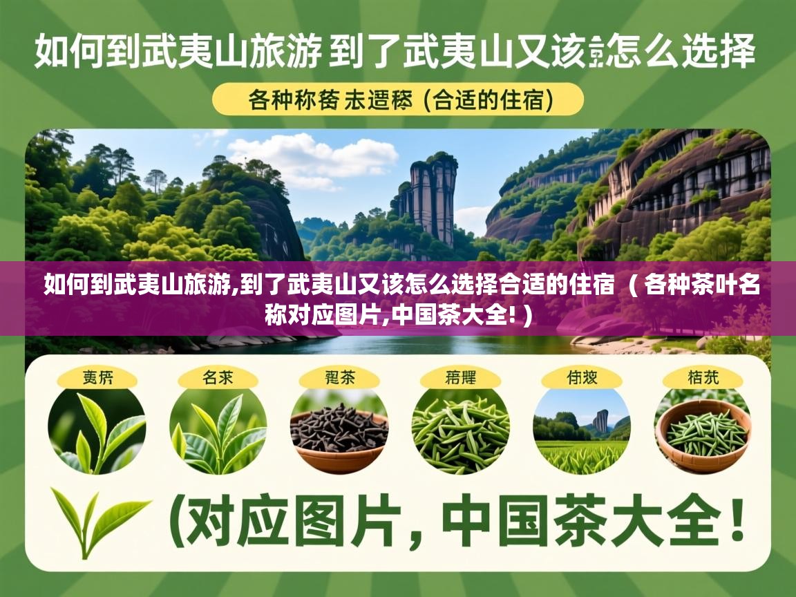 如何到武夷山旅游,到了武夷山又该怎么选择合适的住宿 ( 各种茶叶名称对应图片,中国茶大全! ) 如何到武夷山旅游,到了武夷山又该怎么选择合适的住宿 ( 各种茶叶名称对应图片,中国茶大全! )