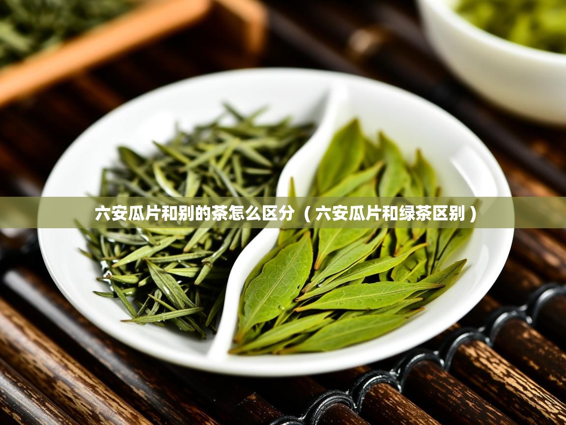 六安瓜片和别的茶怎么区分 ( 六安瓜片和绿茶区别 ) 六安瓜片和别的茶怎么区分 ( 六安瓜片和绿茶区别 )