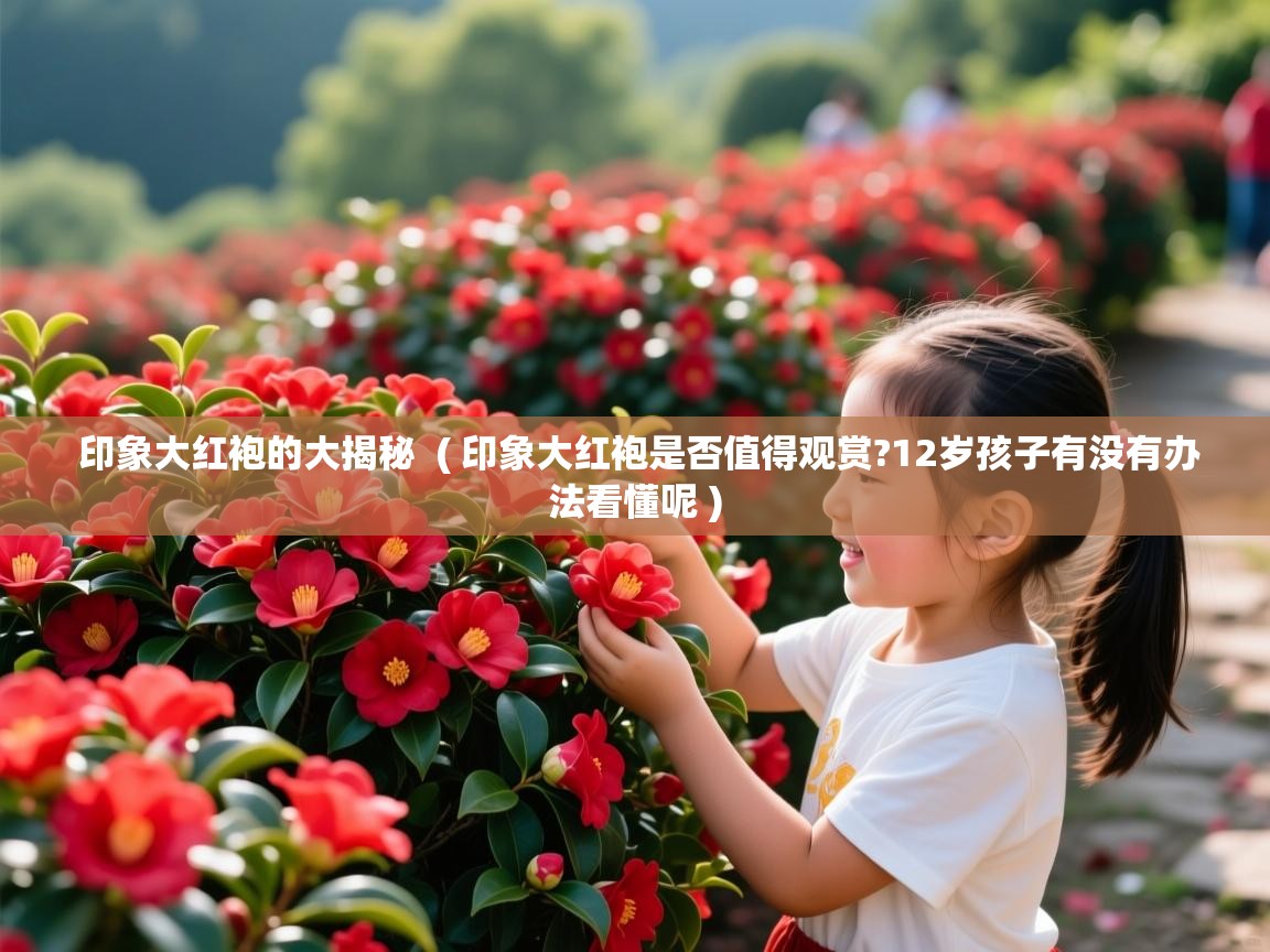 印象大红袍的大揭秘 ( 印象大红袍是否值得观赏?12岁孩子有没有办法看懂呢 ) 印象大红袍的大揭秘 ( 印象大红袍是否值得观赏?12岁孩子有没有办法看懂呢 )