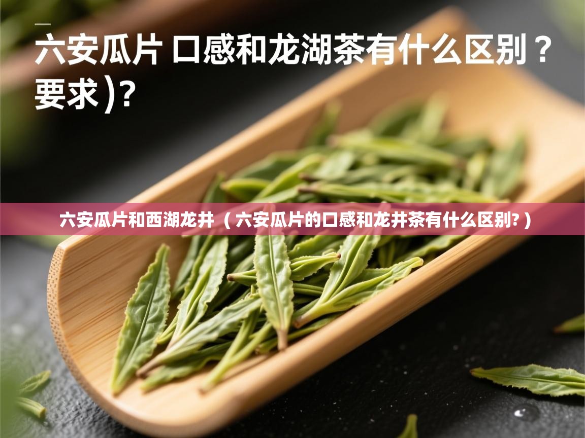  六安瓜片和西湖龙井  ( 六安瓜片的口感和龙井茶有什么区别? )