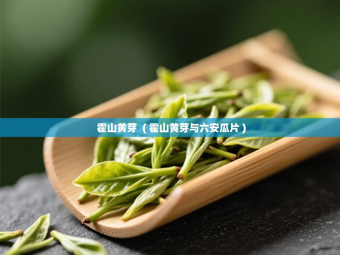霍山黄芽 ( 霍山黄芽与六安瓜片 ) 霍山黄芽 ( 霍山黄芽与六安瓜片 )