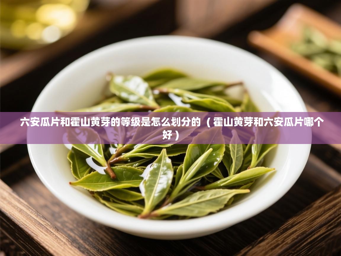  六安瓜片和霍山黄芽的等级是怎么划分的  ( 霍山黄芽和六安瓜片哪个好 )