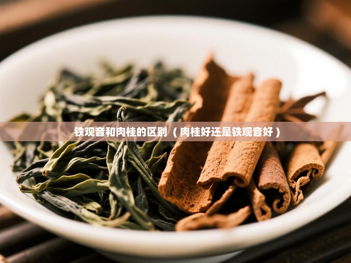 铁观音和肉桂的区别 ( 肉桂好还是铁观音好 ) 铁观音和肉桂的区别 ( 肉桂好还是铁观音好 )