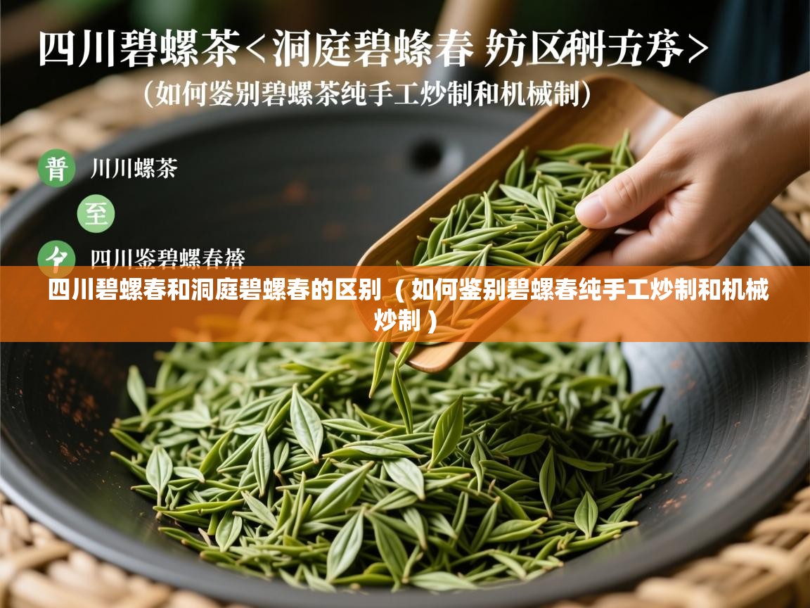  四川碧螺春和洞庭碧螺春的区别  ( 如何鉴别碧螺春纯手工炒制和机械炒制 )