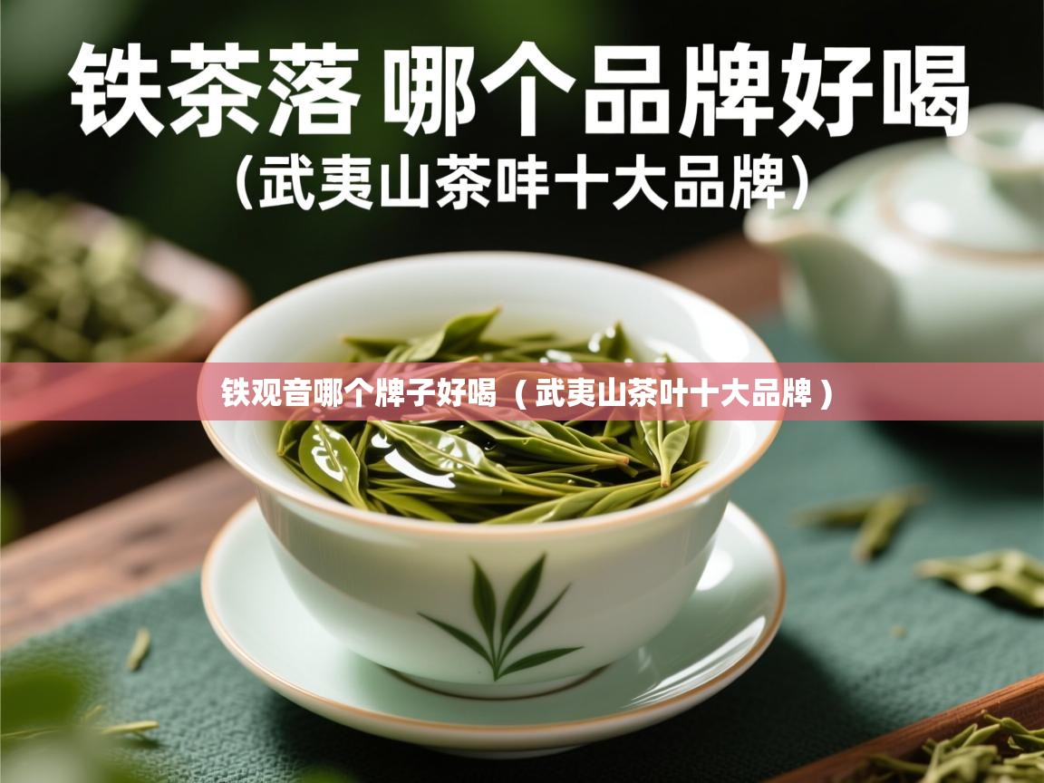  铁观音哪个牌子好喝  ( 武夷山茶叶十大品牌 )