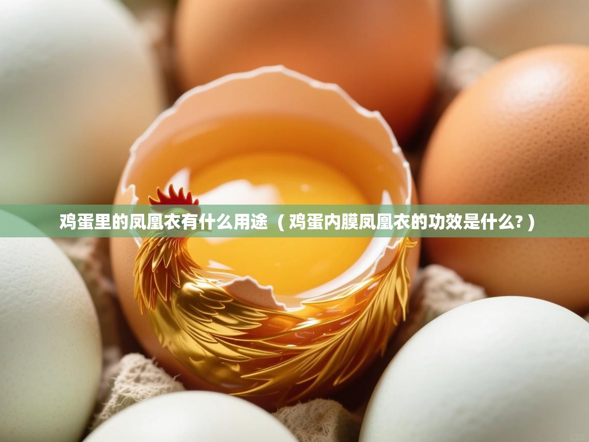  鸡蛋里的凤凰衣有什么用途  ( 鸡蛋内膜凤凰衣的功效是什么? )